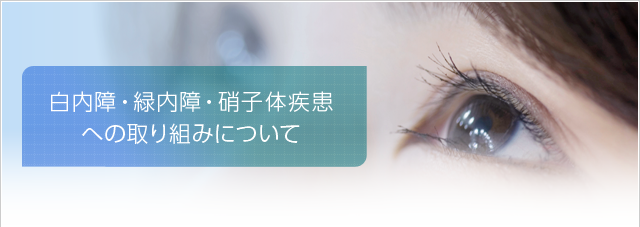 白内障、緑内障、硝子体疾患への取り組みについて